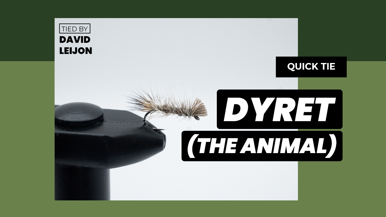 Dyret (The Animal) | Dry Fly | Quick Tie