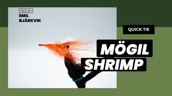 Mögil Shrimp | Seatrout | Quick Tie