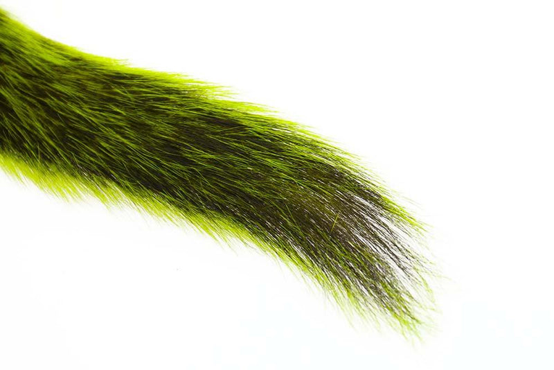 Silver Tip Squirrel Tail_3